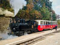 Gőzmozdony november 1-jén Szápjuhászné állomáson